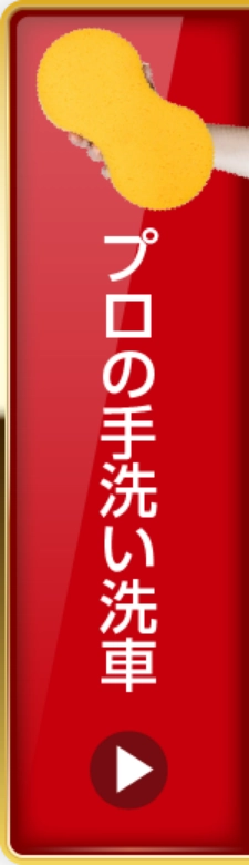 プロの手洗い洗車