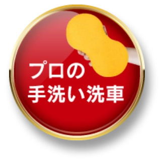 プロの手洗い洗車